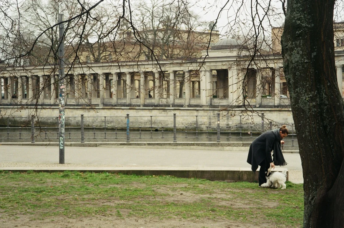 Hundehalter im Park, Tierhalterhaftpflicht Vergleich